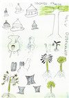 Alice Lafer